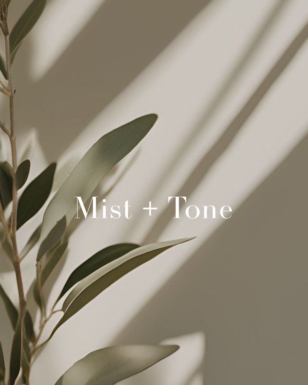 v2 mist + tone 14